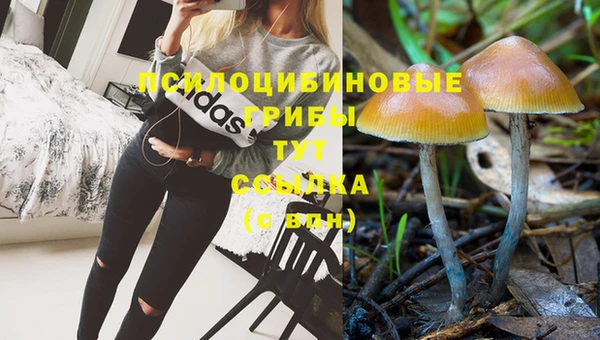марихуана Армянск