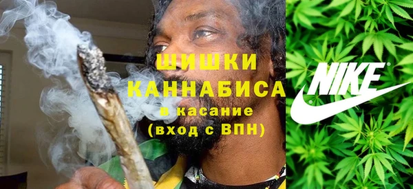 прущие грибы Арсеньев