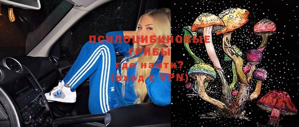 прущие грибы Арсеньев