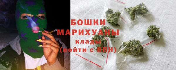 шишки Баксан